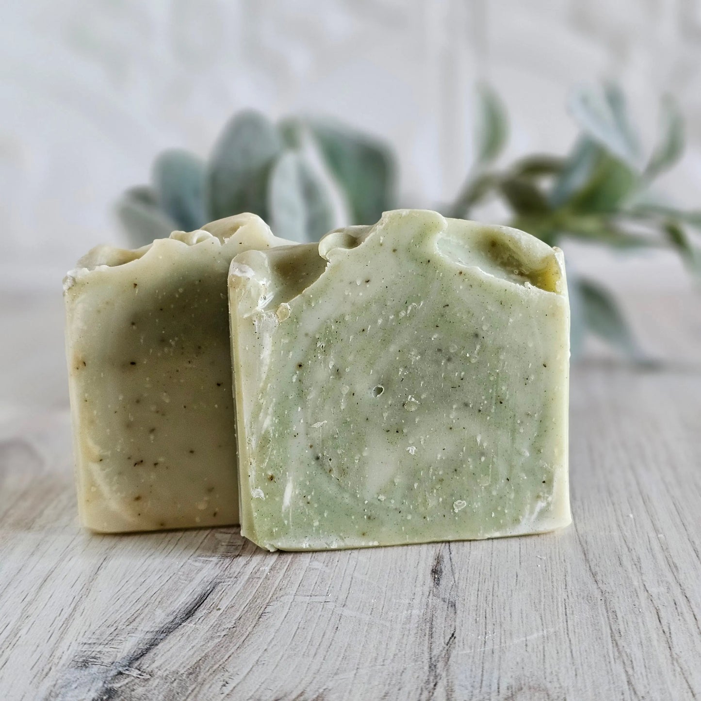 Eucalyptus Mint Soap Cold Process Tallow Soap Kimberlys Kupboard