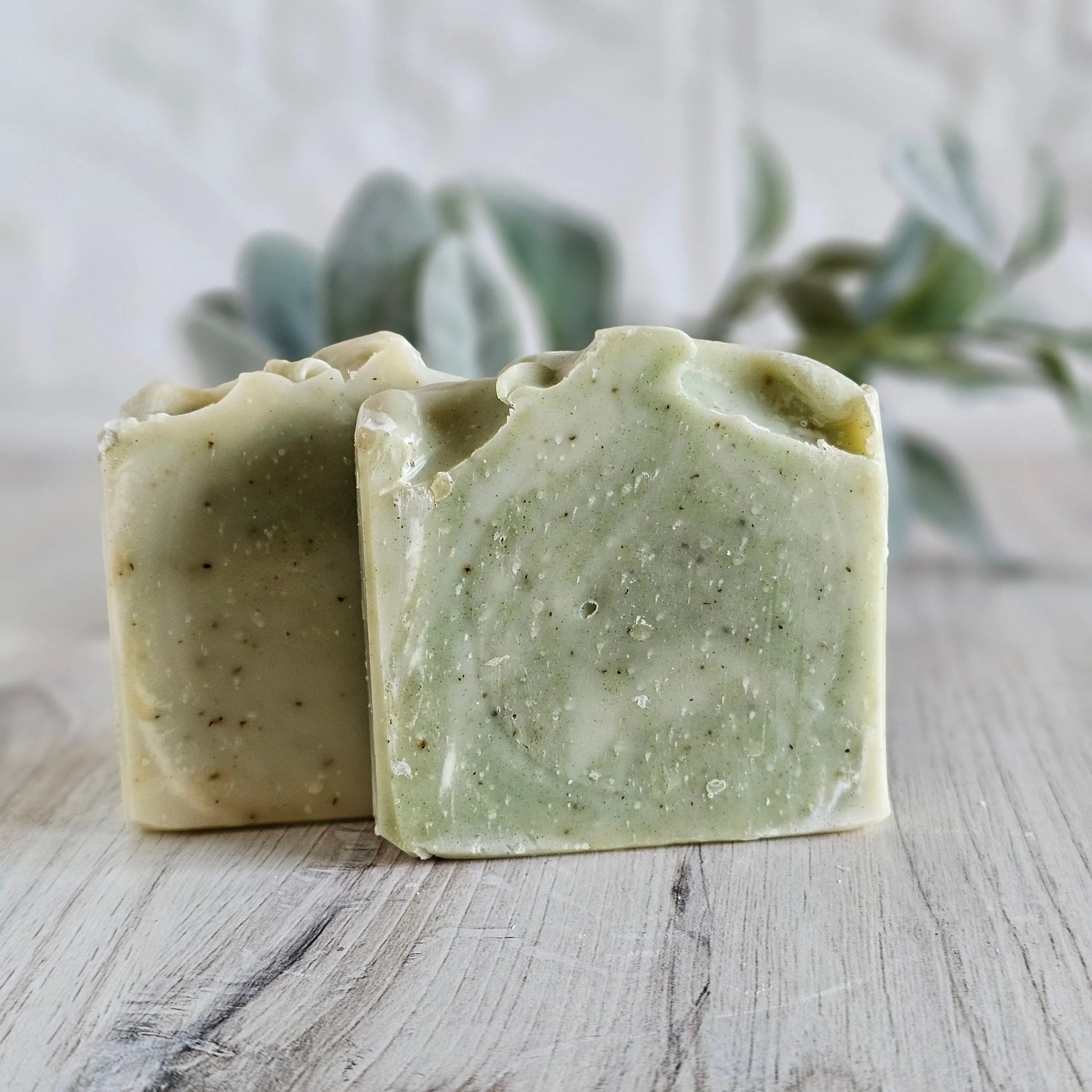Eucalyptus Mint Soap Cold Process Tallow Soap Kimberlys Kupboard