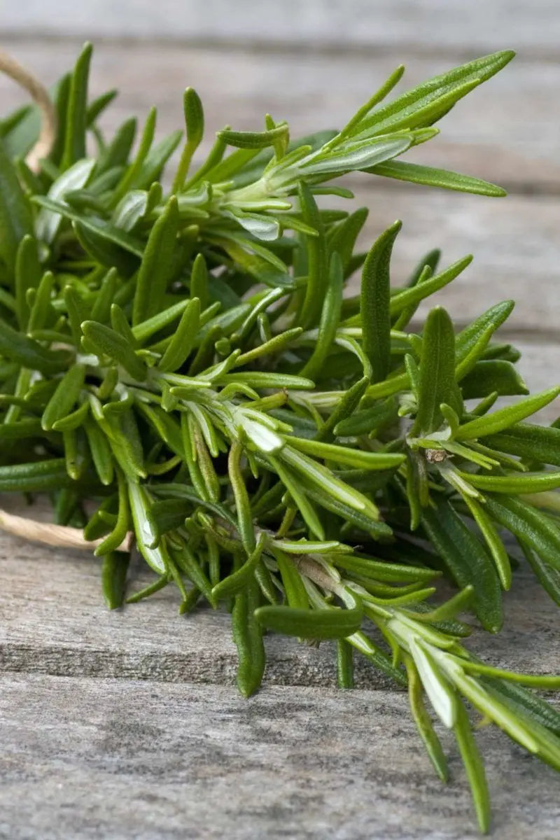 Bandits Blend Essential Oil for Immune Support, Odors and Cleaning Kimberlys Kupboard
