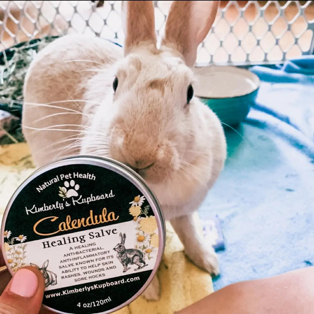 Rabbit Calendula Herbal Salve for Sore hocks, Injuries, Rashes Kimberlys Kupboard
