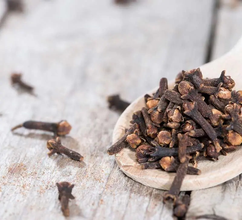 Bandits Blend Essential Oil for Immune Support, Odors and Cleaning Kimberlys Kupboard