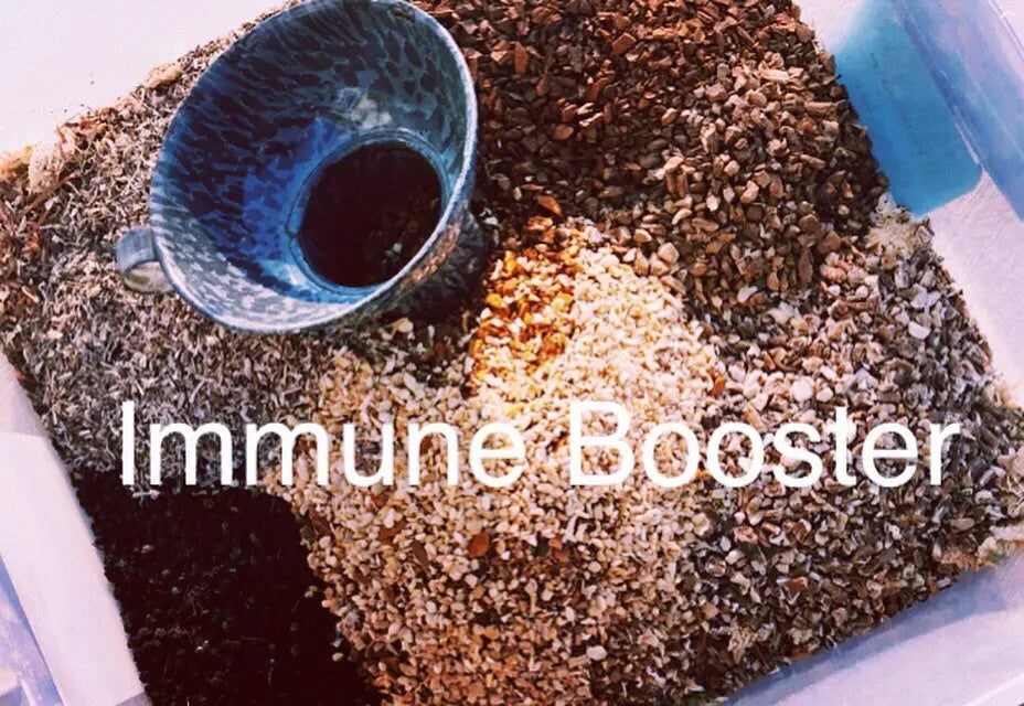 Immune Booster Herbal Tea with Elderberry, Echinacea for healthy immune system Kimberlys Kupboard