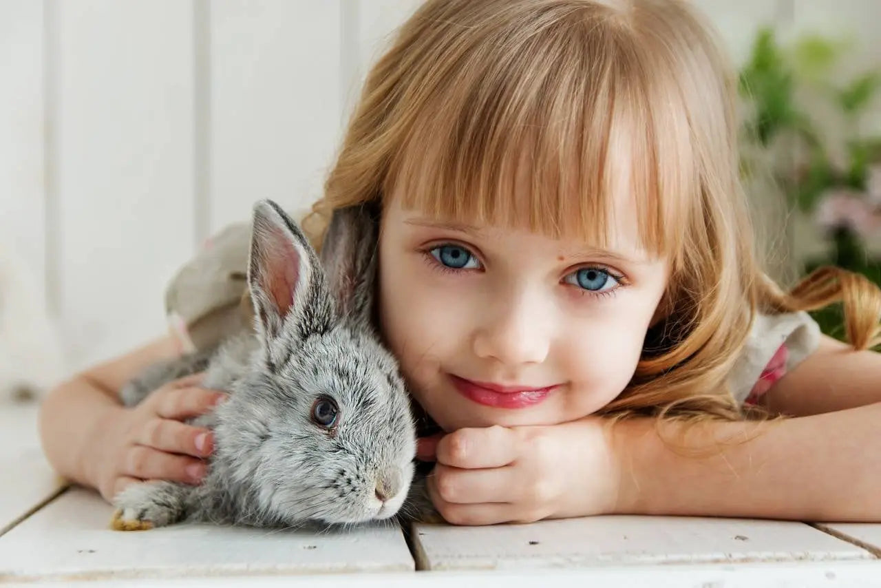 Rabbit Ear Oil treatment for Ear Mites...Made with Chickweed, Calendula, Tea Tree and Lavender Kimberlys Kupboard