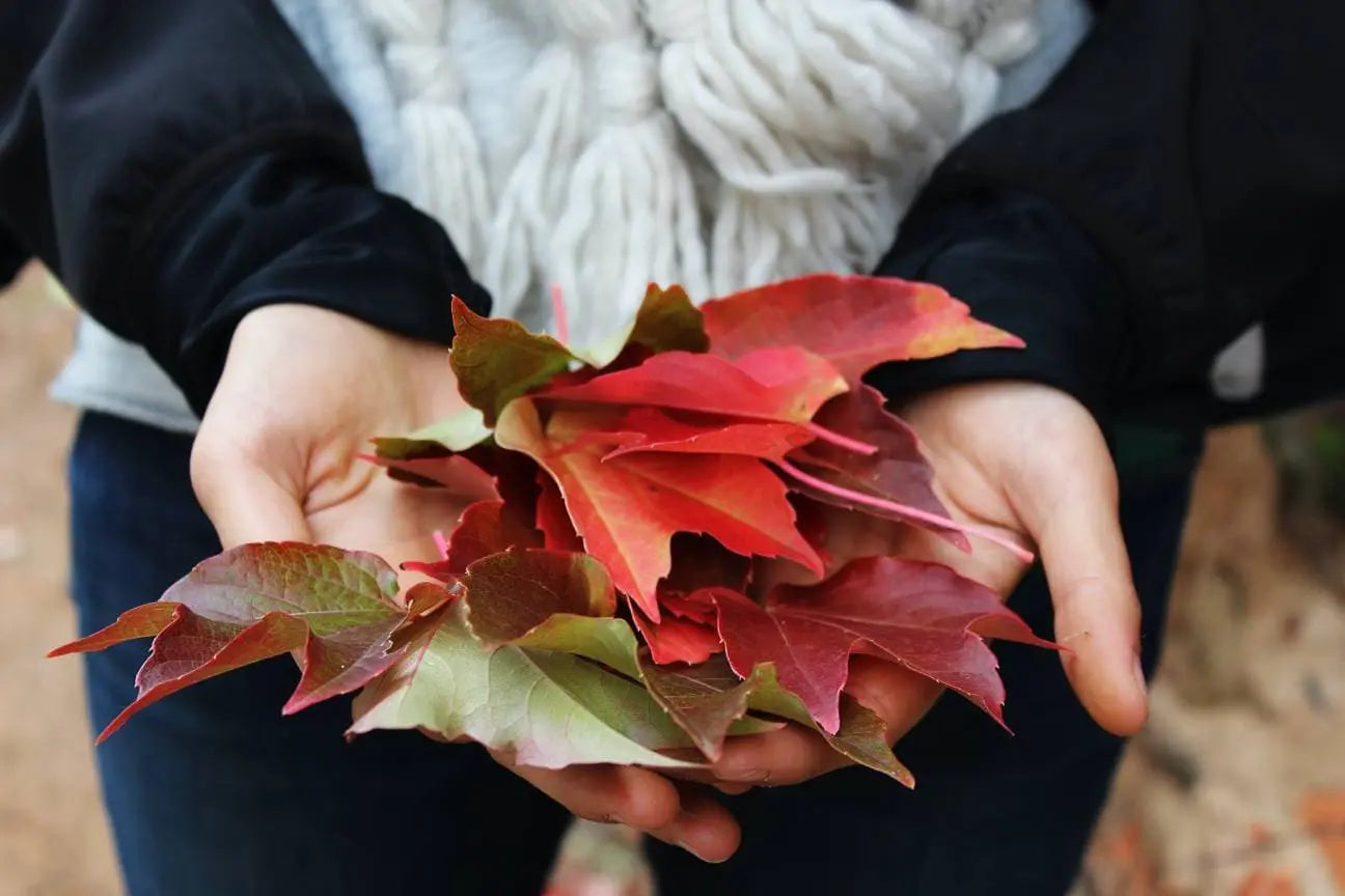 Autumn Essential Oil Spray---Body, Room and Linen Spray for Aromatherapy Kimberlys Kupboard